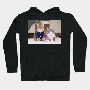 couple cute cats Hoodie